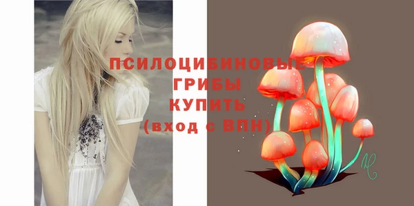 дмт Алексеевка